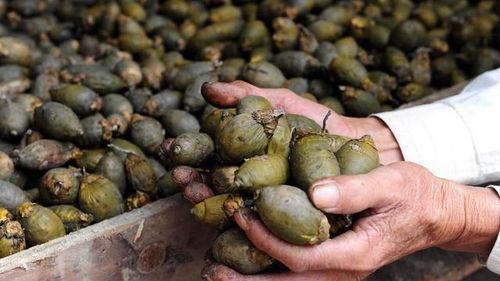 娱乐吃瓜酱找出5个错误,揭秘真相背后的乌龙风波